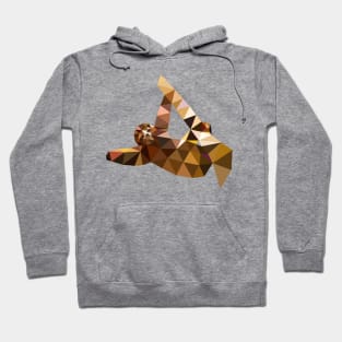 Sloth Hoodie